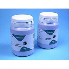 プレドニケア（プレドニゾン5mg）100錠